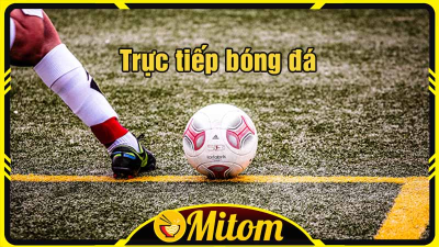 Thế giới bóng đá trực tiếp thu nhỏ trên Mitom - mitom1-tv.pro